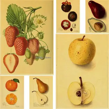 בציר ירקות פירות פוסטר הדפסה קיר עתיק אמנות הדפס הבוטני התמונה מדע פוסטר של מטבח קישוט