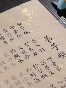 העתקת ספר קטן רגיל התסריט העתקת פוסטרים דמות מעקב Shanglin פו Lanting הקדמה רך עט תרגול למתחילים