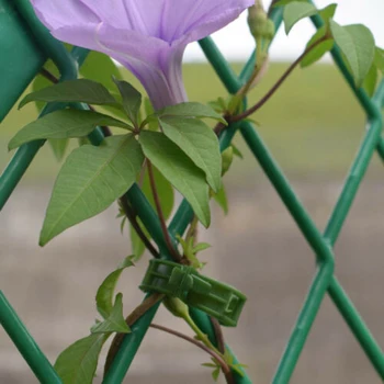 חדשות מעשית חיצונית גפן קליפ צמח קטעי טיפוס פרחים פטיו לשימוש חוזר תמיכה אביזרי אבזם פלסטיק